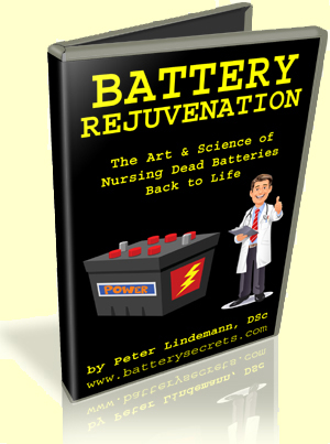 Battery Rejuvenation by Peter Lindemann
